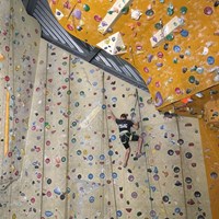 IMG_7683.jpg