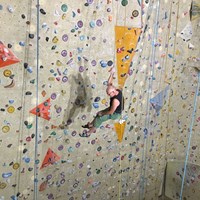 IMG_7743.jpg