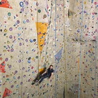 IMG_7815.jpg