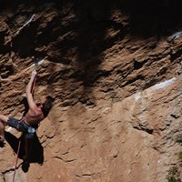 DSC 0082