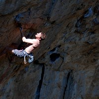 DSC 0094